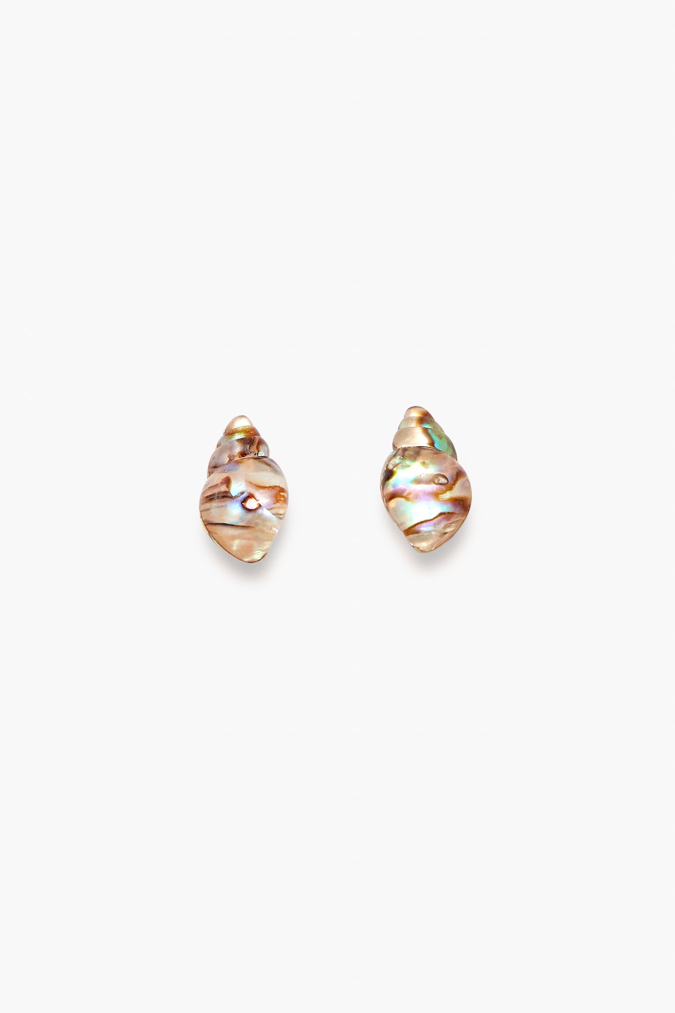 Abalone Shell Stud Earrings
